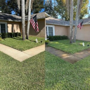 Before and after image of a sidewalk cleaning, showcasing the transformation from a dirty, stained surface to a clean, refreshed walkway.