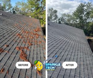 A before-and-after image of a roof in Palm Coast, FL, covered in pine needles. The "before" side shows the roof heavily covered with pine needles and debris, while the "after" side displays the roof completely clean and free of any needles, highlighting the effectiveness of the cleaning service.